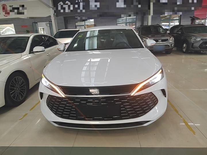 Qin L 2024 DM-i 80KM Leading photo 2