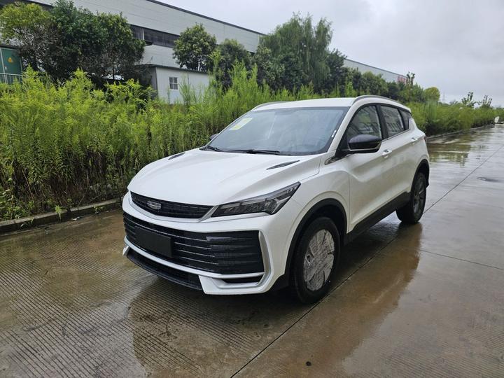 2025 Binyue L 1.5TD DCT