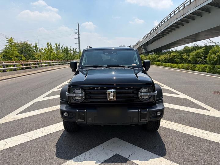 300 2021 Off-road 2.0T Conqueror photo 2
