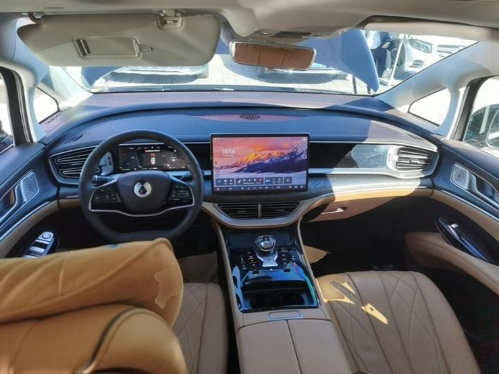 D9 2024 DM-i 980 AWD Premium photo 5