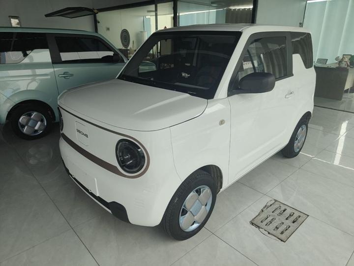 2023 Panda mini 200km Endurance Bear