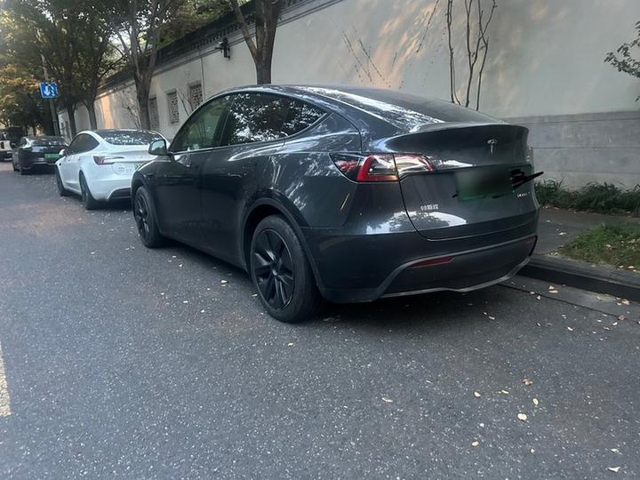 Model Y 2024 RWD photo 7