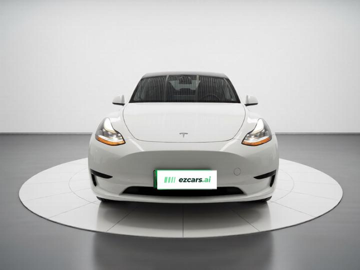 Model Y 2024 RWD photo 2