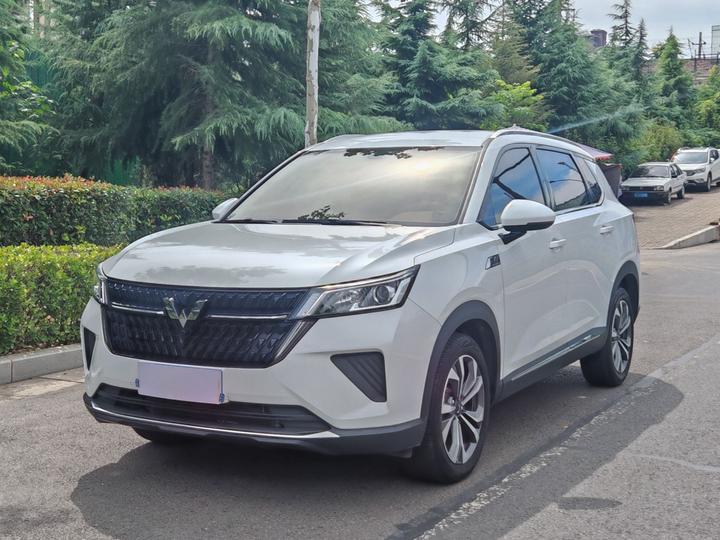 Wuling 2022 2.0L DHT
