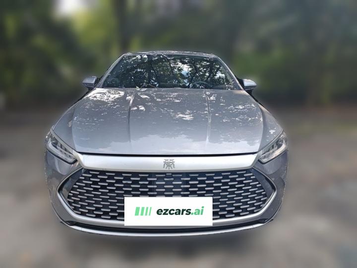 Qin PLUS 2021 DM-i 55KM Flagship photo 2