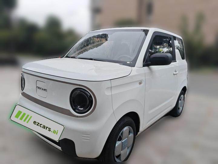 2023 Panda mini 200km Endurance Bear