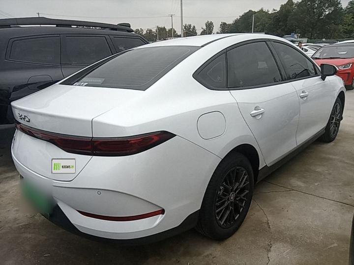 Qin PLUS 2025 EV ADAS 510KM Progressive photo 4