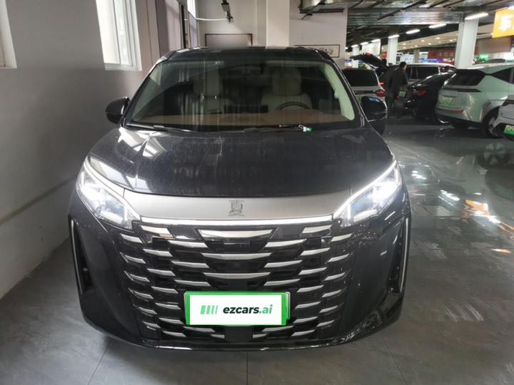 2025 DM-i 1.5T 100km photo 2