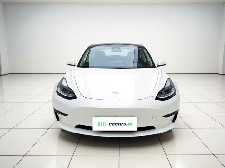 Model 3 2022 RWD photo 2