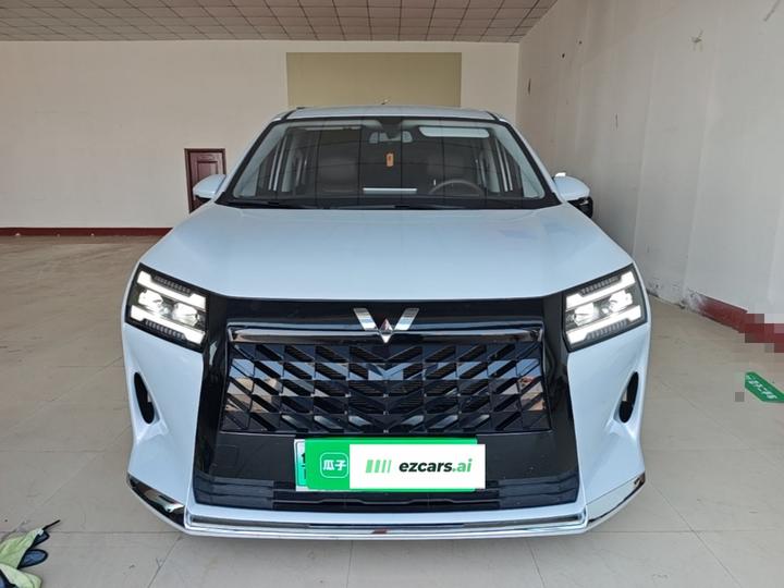 730 EV 2025 125km Luxury photo 2