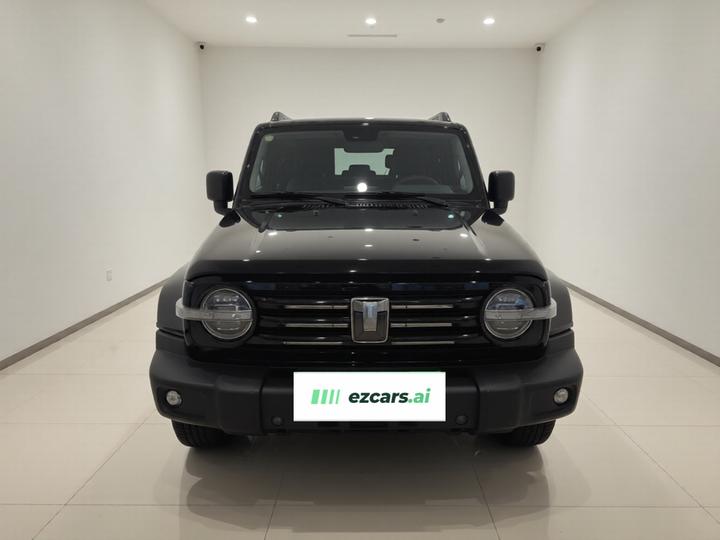 300 2021 Off-road 2.0T Conqueror photo 2