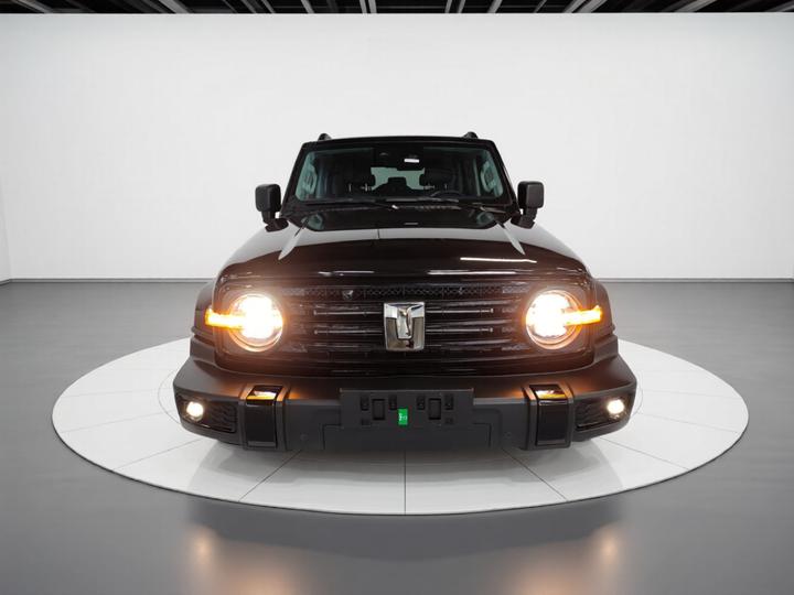 300 2024 2.0T Conqueror photo 2