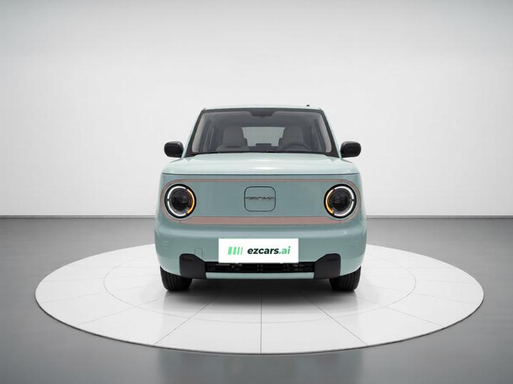 2023 Panda mini 200km Endurance Bear photo 2
