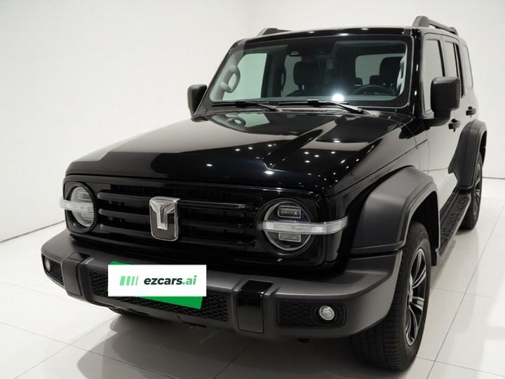 300 2023 Off-road 2.0T Conqueror photo 2
