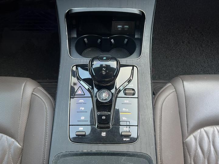 Han 2020 EV Extended Range Premium photo 6