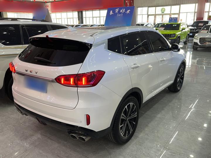 VV6 2021 2.0T RWD + photo 4