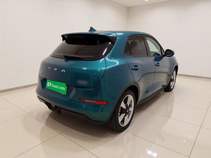 Good Cat 2023 401km Standard Range LFP photo 6