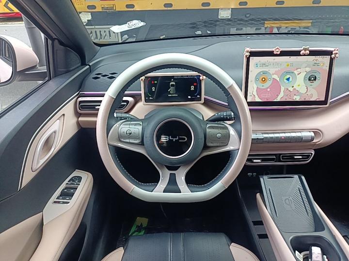 Seagull 2025 305km photo 6