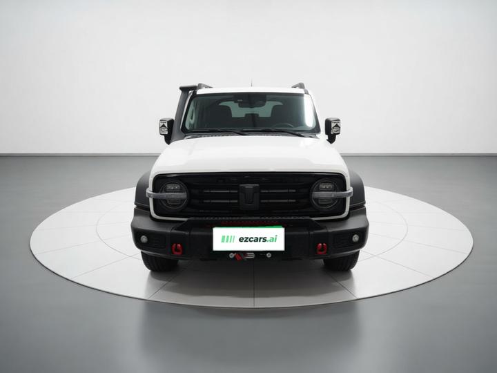 300 2021 Off-road 2.0T Conqueror photo 2