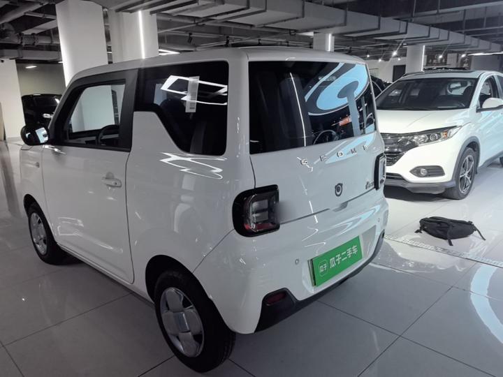2023 Panda mini 200km Endurance Bear photo 4