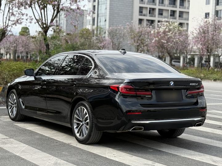 5 Series 2021 525Li Luxury photo 3