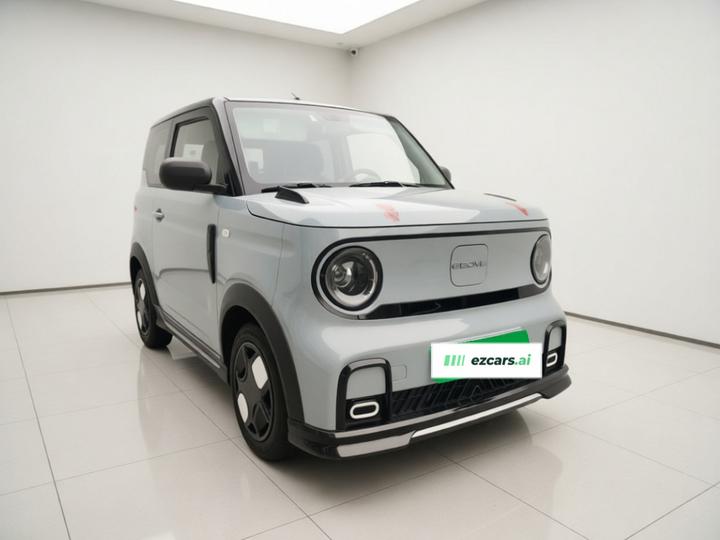2025 210km Panda photo 3