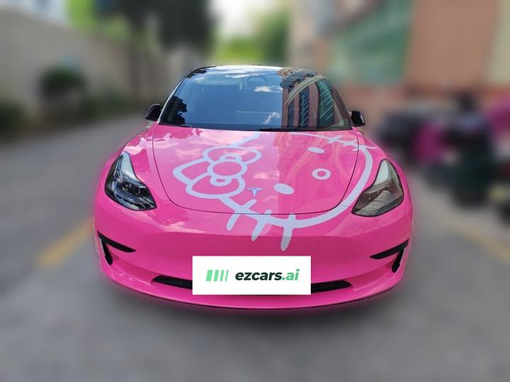Model 3 2022 RWD photo 2
