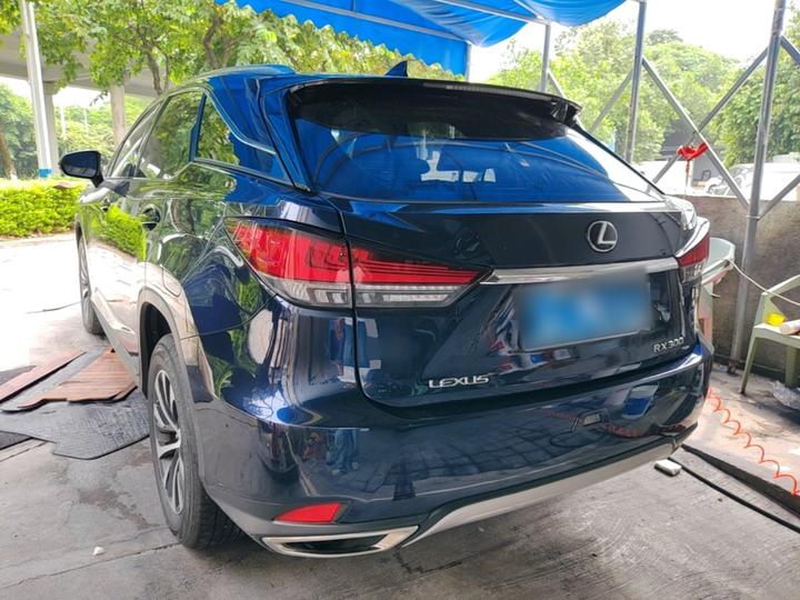 RX 2020 Facelift 300 RWD Elite photo 4