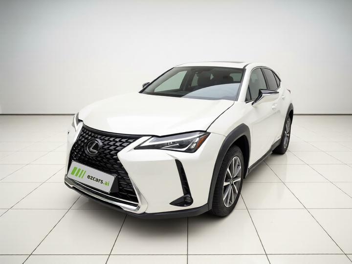 UX EV 2020 300e