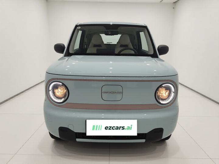 2024 Panda mini 200km Endurance Bear photo 2
