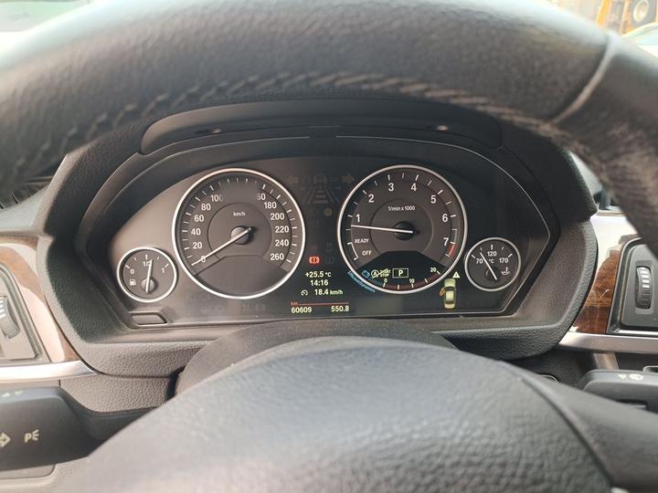 3 Series 2013 Facelift 320Li Luxury Design Package photo 4