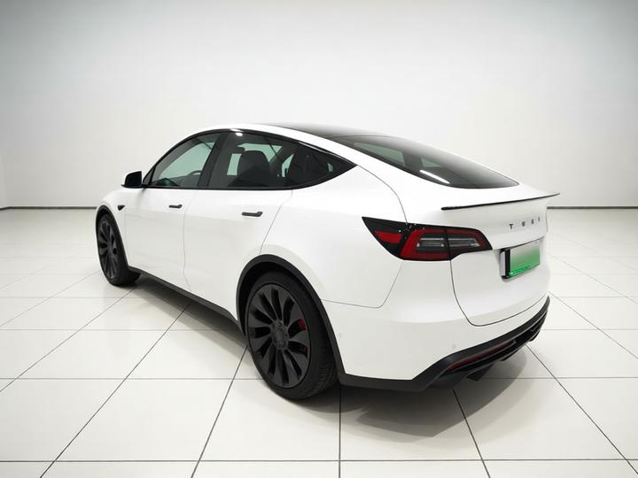 Model Y 2022 Performance AWD photo 4