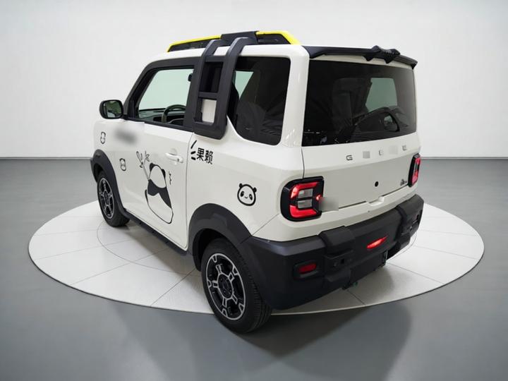 2025 210km Panda photo 4