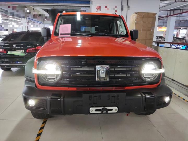 300 2021 Off-road 2.0T Conqueror photo 2