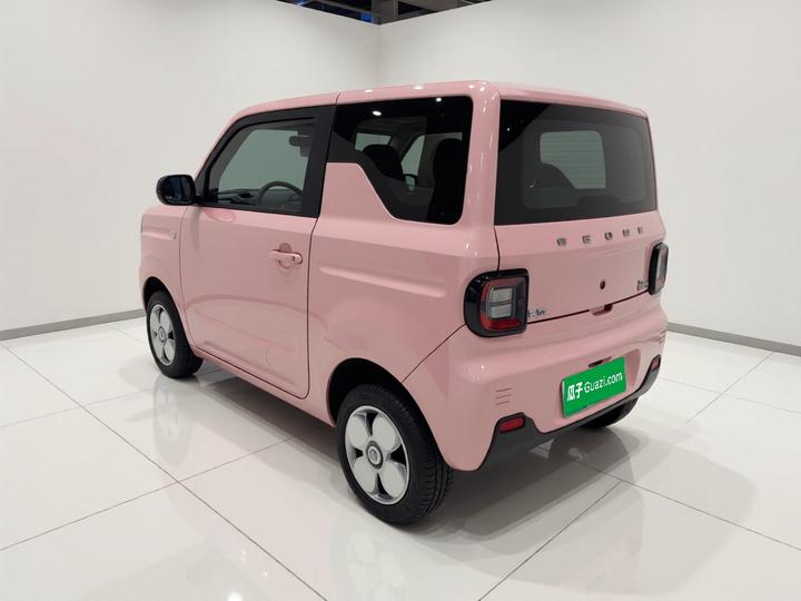 2024 Panda mini 200km Endurance Bear photo 4