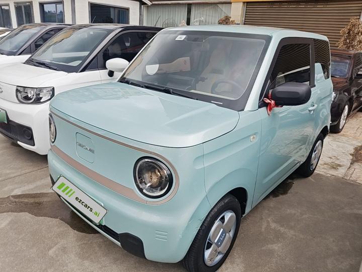 2023 Panda mini 200km Endurance Bear