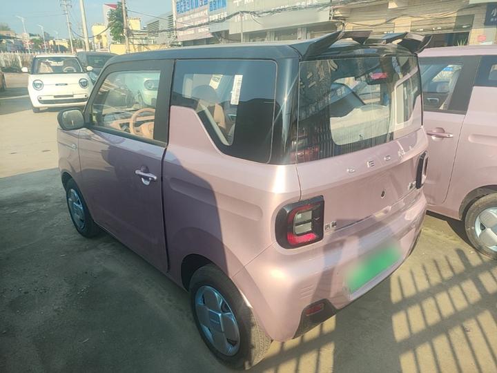 2024 Panda mini 200km Endurance Bear photo 5