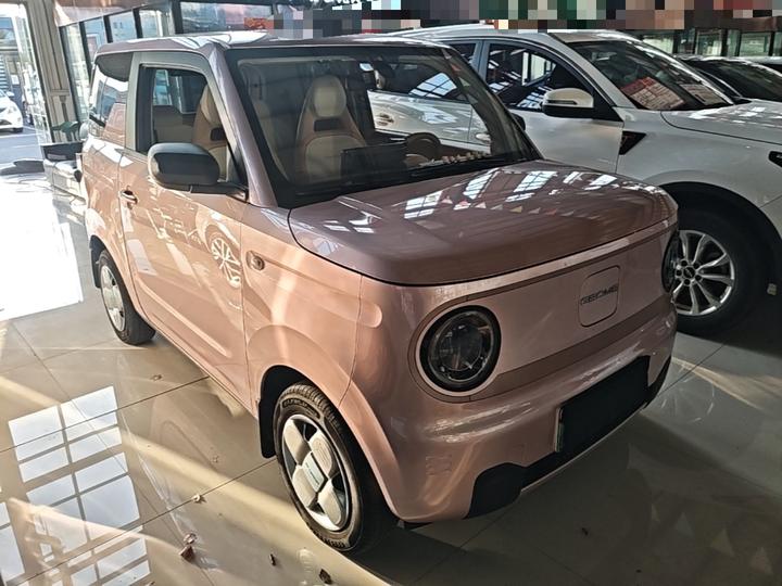 2023 Panda mini 200km Endurance Bear photo 3