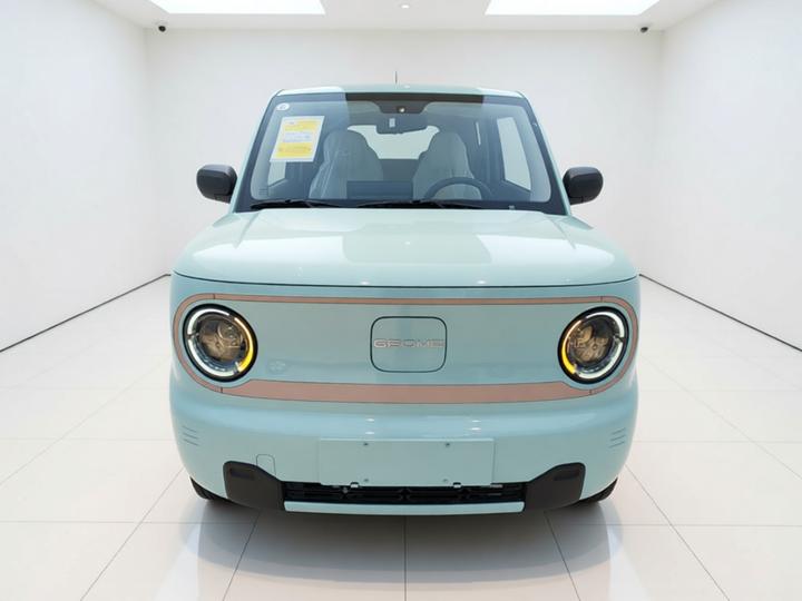 2024 Panda mini 200km Endurance Bear photo 2