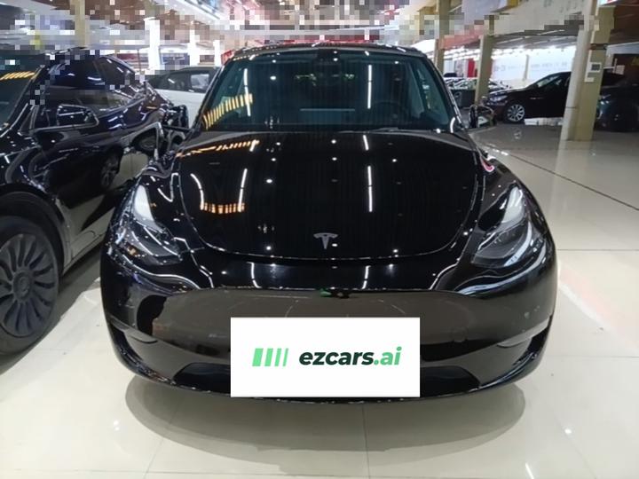 Model Y 2021 Standard Range RWD photo 2
