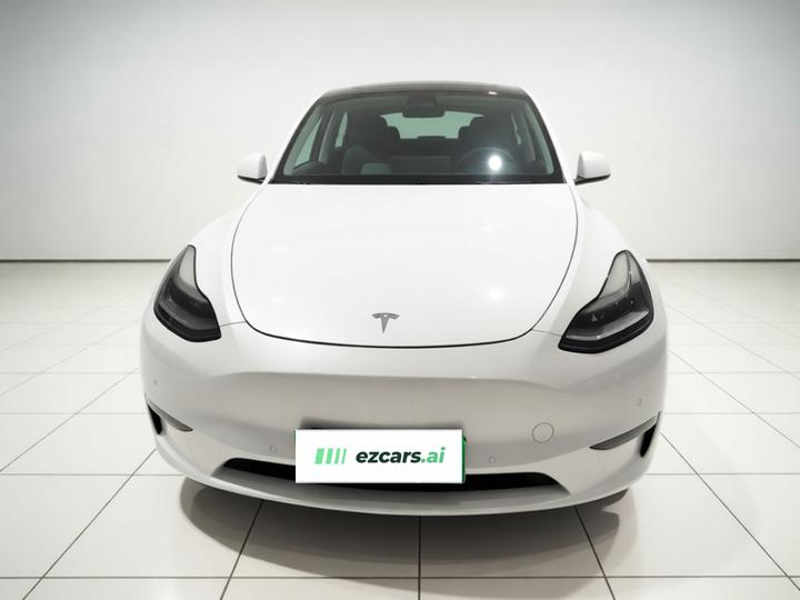 Model Y 2021 Long Range AWD photo 2