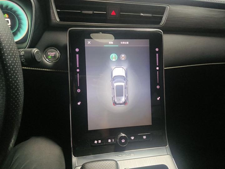 RX5 EV 2020 ePLUS Luxury photo 8