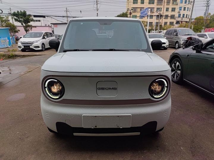 2024 Panda mini 200km Endurance Bear photo 2