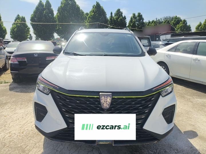 RX5 EV 2021 ePLUS Luxury photo 2