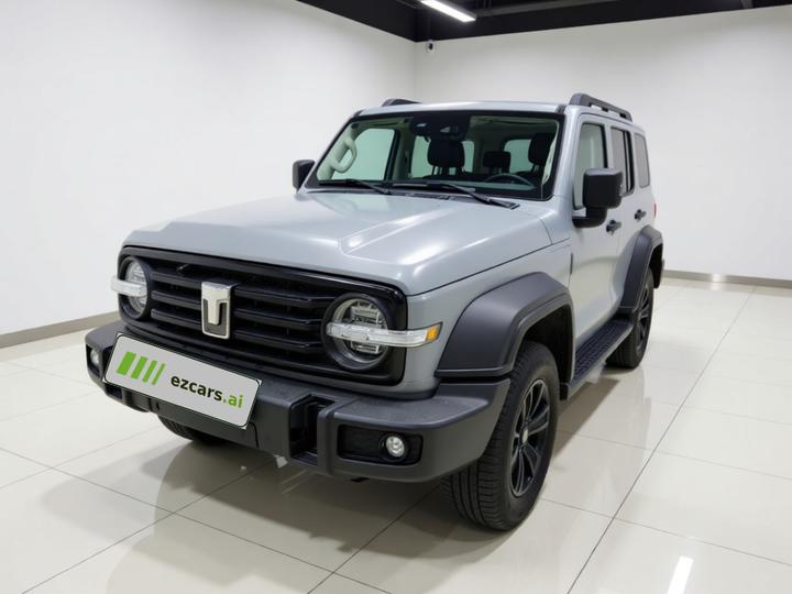 300 2021 Off-road 2.0T