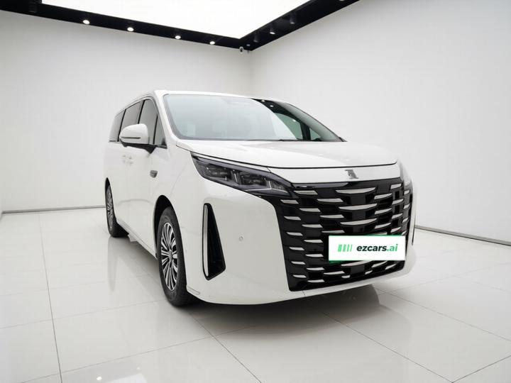 2025 DM-i 1.5T 180km photo 3