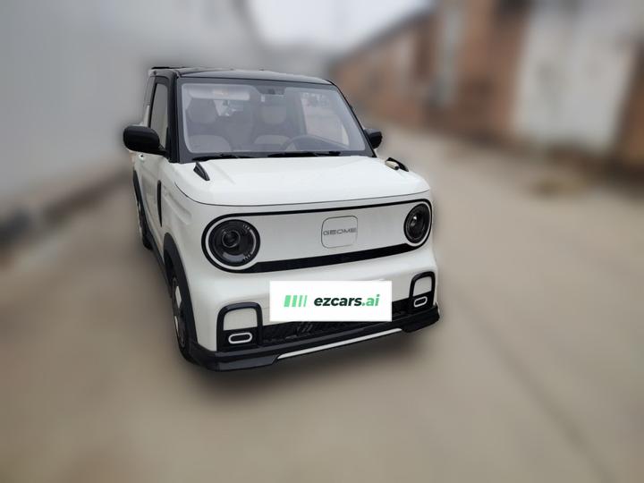 2025 210km Panda photo 3