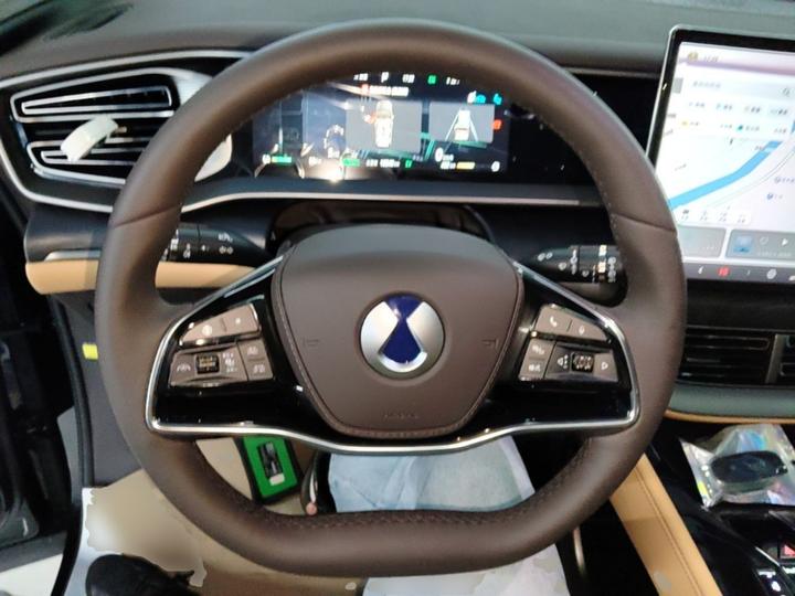 D9 2024 DM-i 980 AWD Premium photo 5