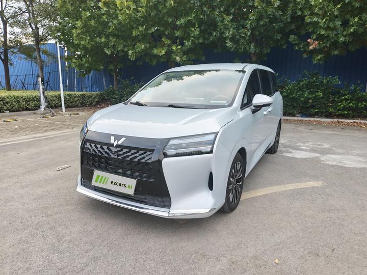 730 EV 2025 125km Luxury