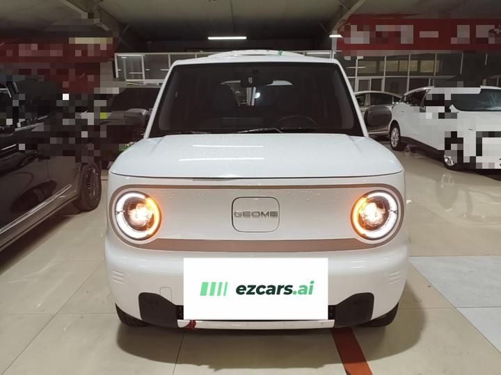 2024 Panda mini 200km Endurance Bear photo 2